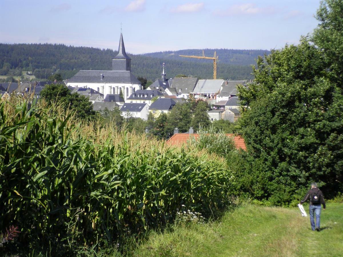 Ferienwohnung Am Weissenstaedter See Weißenstadt Extérieur photo